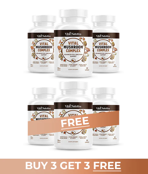 Vital Mushroom Complex - Image 3