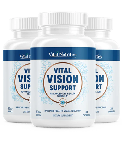 Vital Vision Support - Image 2